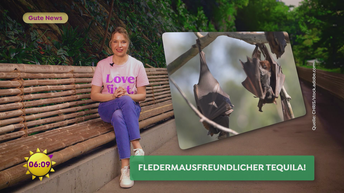 Gute News: Fledermausfreundlicher Tequila und Luchse in Thüringen