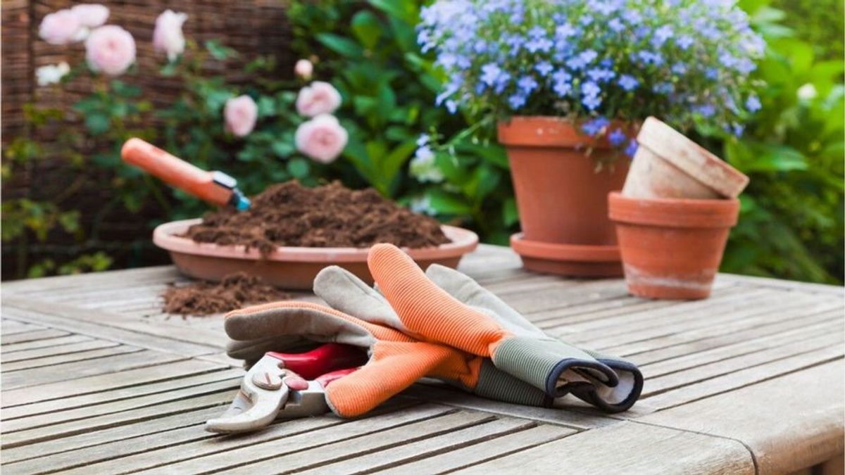 Handschuhe für Haus- und Gartenarbeiten: Darauf sollte man achten