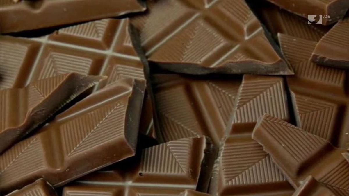 Kakao Nibs: Die Schokolade, die nicht dick macht