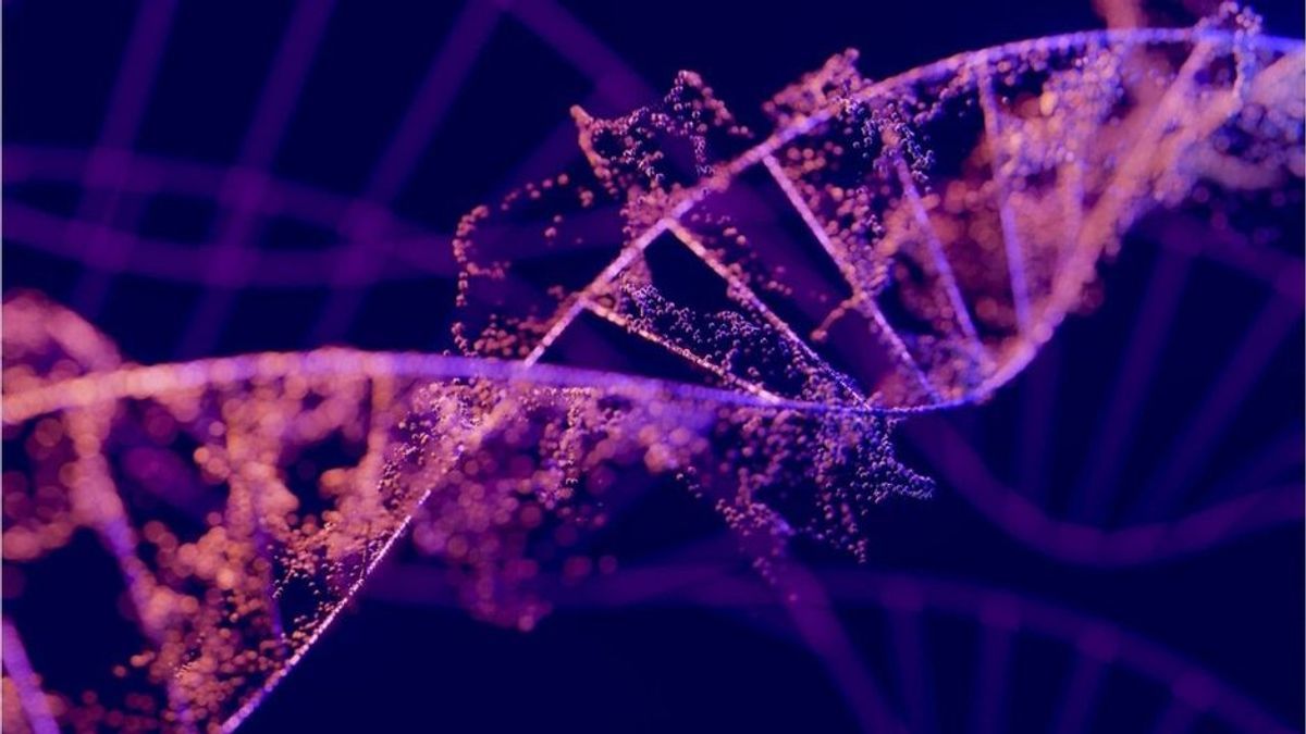 Forschern gelingt Mega-Durchbruch: Menschliche DNA-Abfolge erstmals vollständig entschlüsselt