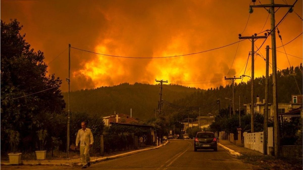 Nasa-Satellitenkarte zeigt Feuer auf der ganzen Welt