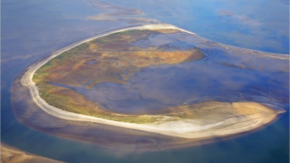 Trischen in Schleswig-Holstein - die "schnellste Insel der Welt"