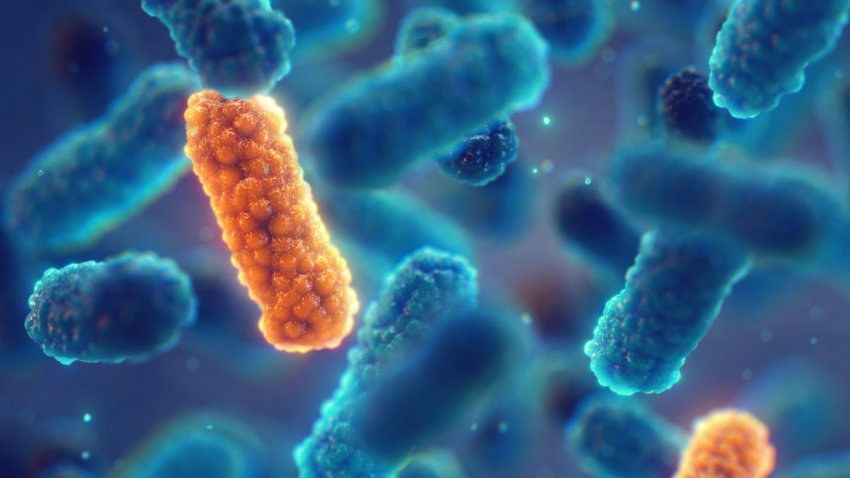RKI warnt vor multiresistenten Bakterien