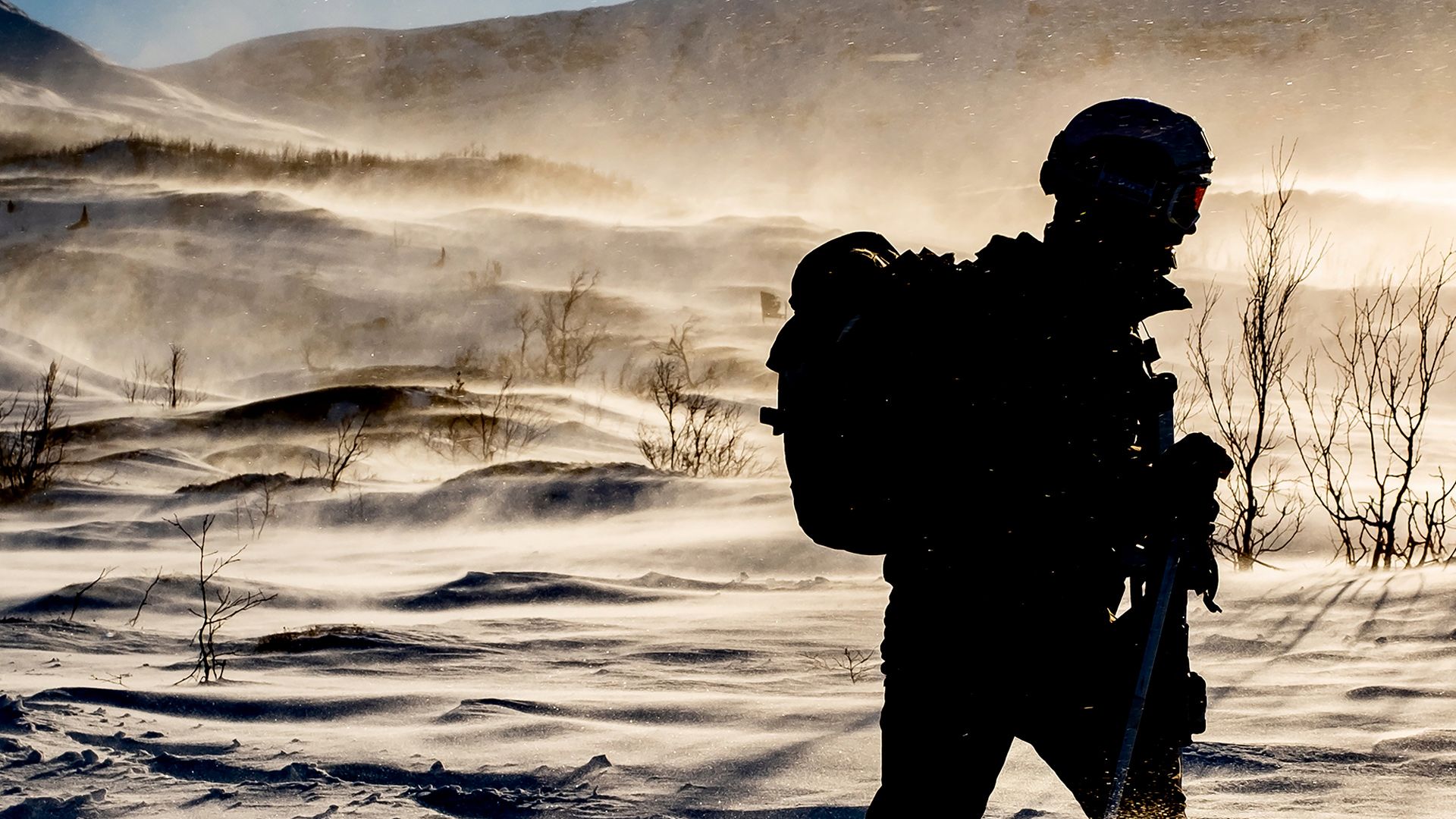 Royal Marines: Spezialeinheit hautnah