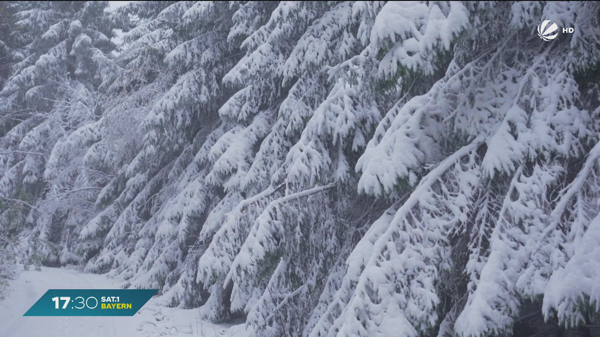 Wintereinbruch in Bayern: 10 cm hohe Schneedecke auf dem Schneeberg