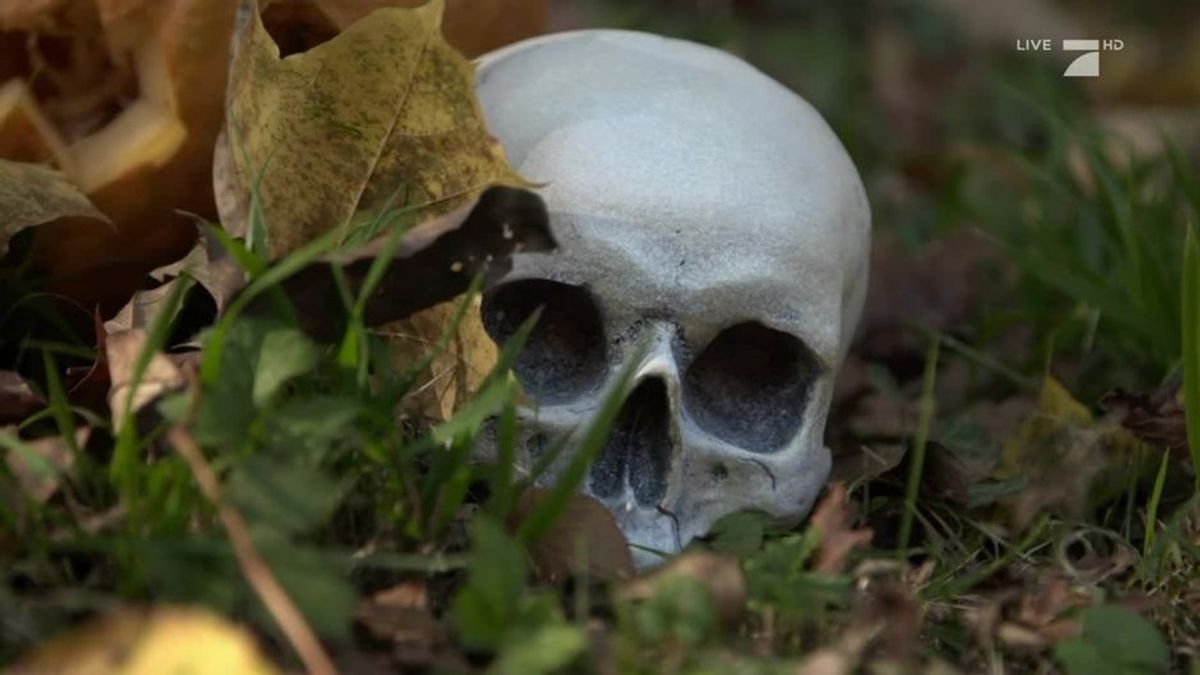 taff vom 31. Oktober 2018  