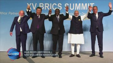 Welches Ziel verfolgen die BRICS-Staaten? 