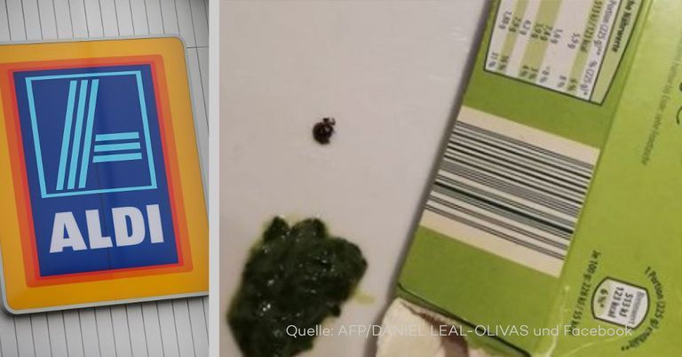 Ekel-Fund bei Aldi: Kunde findet Käfer in Tiefkühl-Spinat