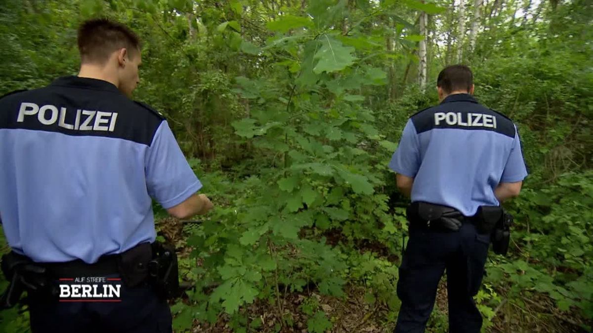 Hund erschnüffelt Finger im Wald