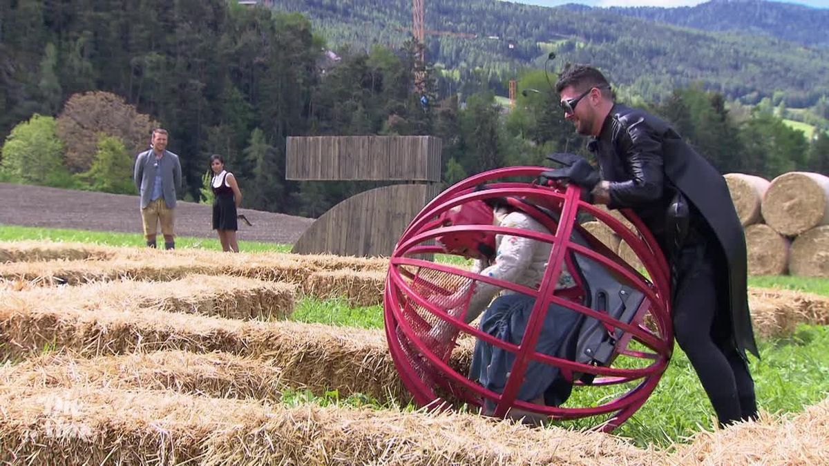 Die Alm - Promischweiß und Edelweiß