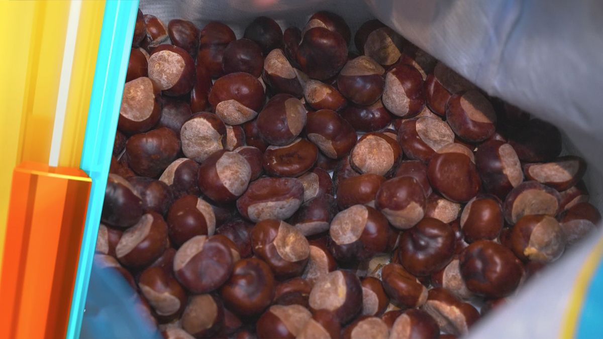 Herbstzauber mit Tücken – Wenn Deko das Eheleben auf die Probe stellt