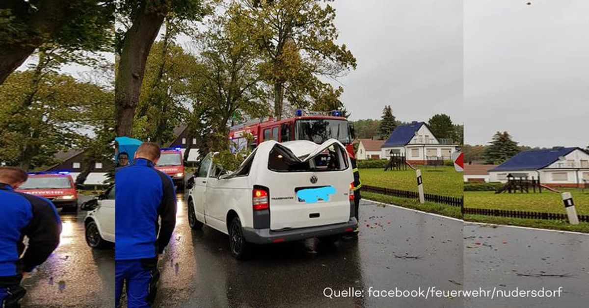 Sturm-Opfer: 41-Jähriger in eigenem Auto von Baum erschlagen