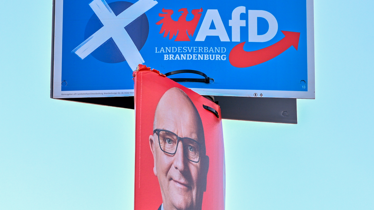 Landtagswahl in Brandenburg: Kopf-an-Kopf-Rennen zwischen AfD und SPD erwartet