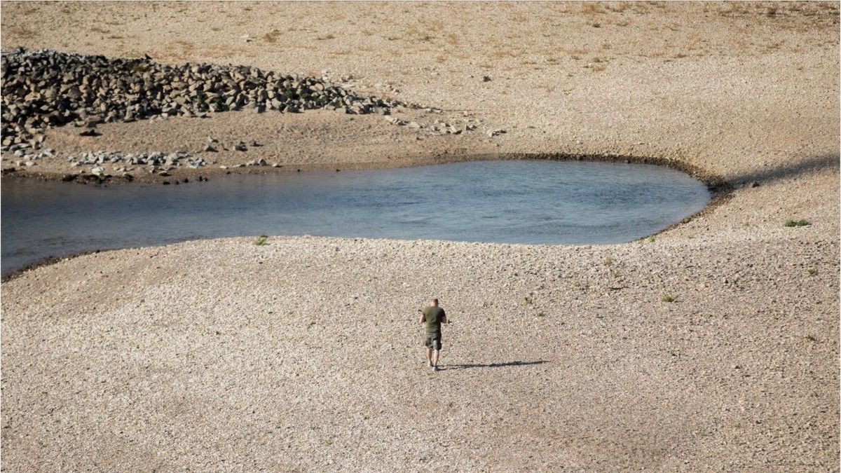 Dürre in Deutschland: Die Auswirkungen soll man noch nächstes Jahr spüren&#61762;