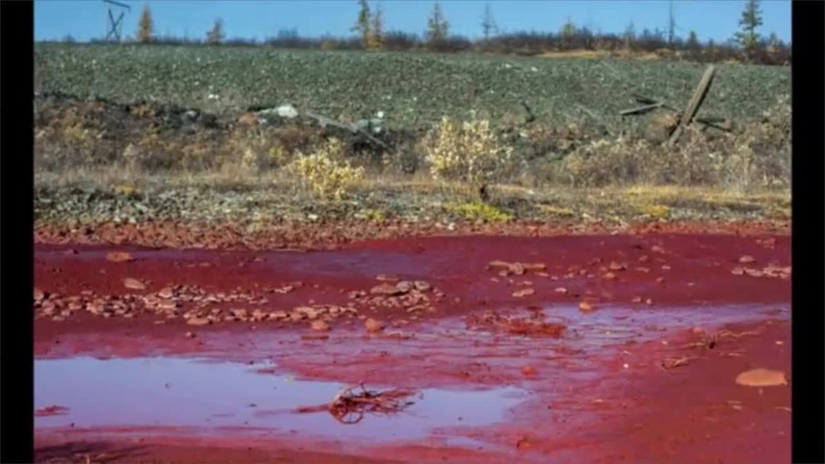 Gruselig: Dieser Fluss wird plötzlich blutrot - und erst wusste niemand warum