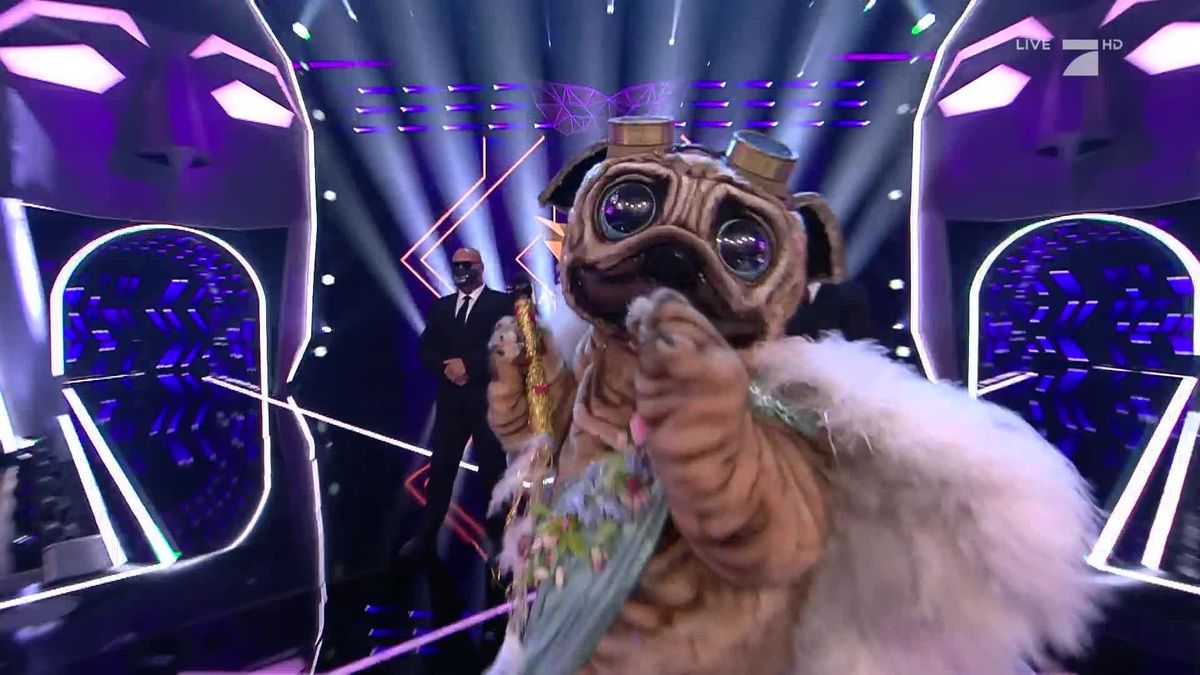 The Masked Singer