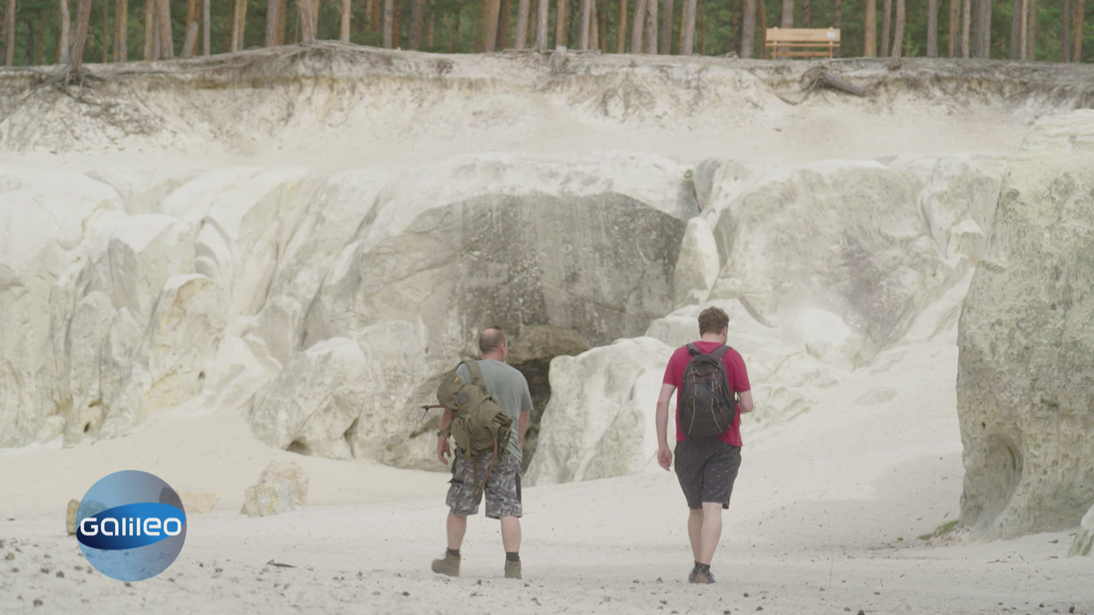 Auf den Spuren des Deutschen Big Foots: Lebt ein Wolfsmensch im Harz?