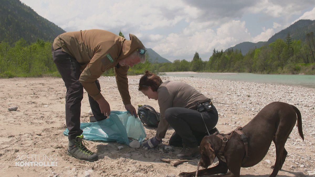 Vermittler zwischen Natur und Mensch - Ranger am Walchensee