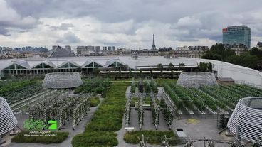 Urban Farming: Urban Farming: Obst- und Gemüseanbau auf den Dachgärten in ParisDachgärten von Paris