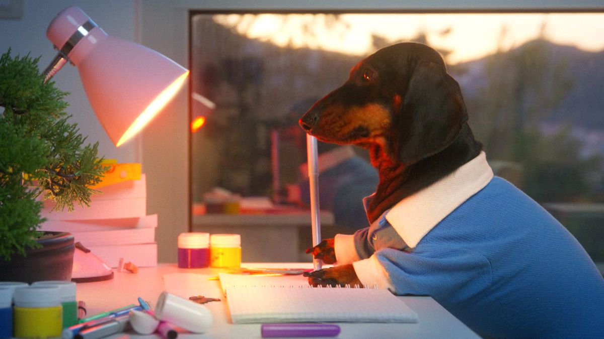 Kann Martin Rütter die Büro-Hunde Rudi und Pablo therapieren?