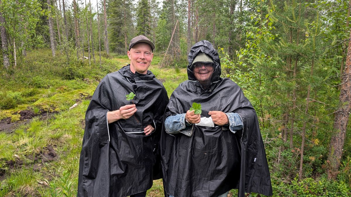 Finnlands Geheimnis: Warum hier die Menschen am glücklichsten sind