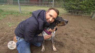 Hundedame sucht starke Menschen mit viel Liebe