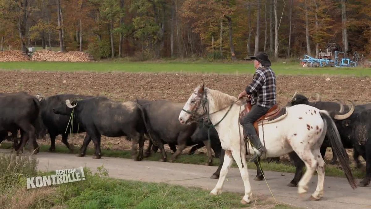 Achtung Kontrolle! Einsatz für die Ordnungshüter