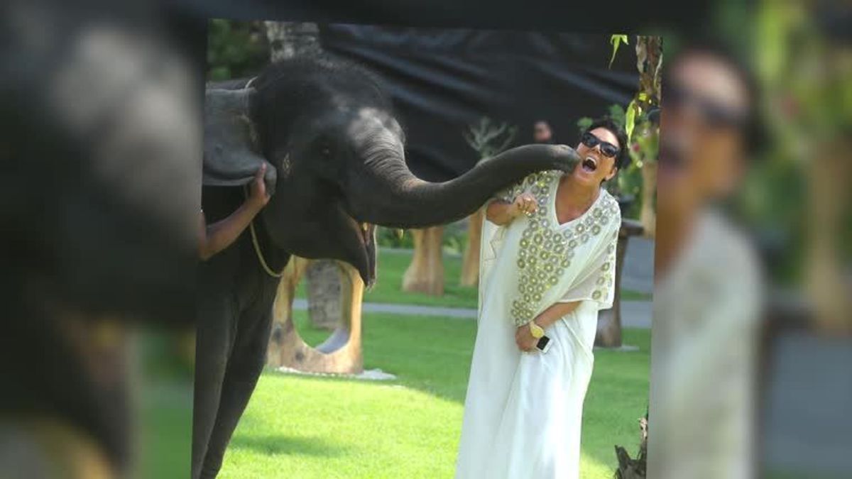 Kim Kardashian & Co. machen süße Selfies mit Baby-Elefant