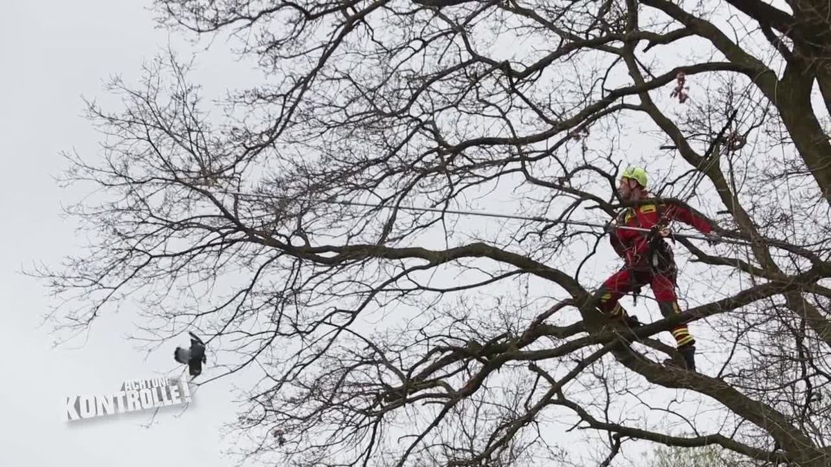 Achtung Kontrolle! Einsatz für die Ordnungshüter