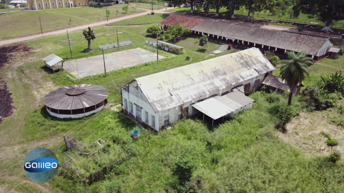 Fordlandia: Ein legendärer Lost Place mitten im Amazonasgebiet