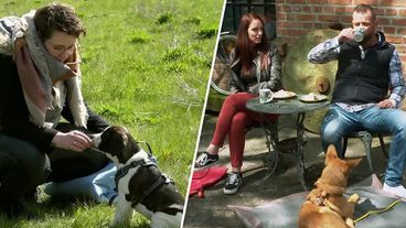 Heilkräuter-Lehre und Hundetraining für Café-Besuche 