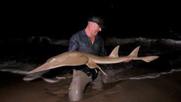 Afrikas Wilder Westen