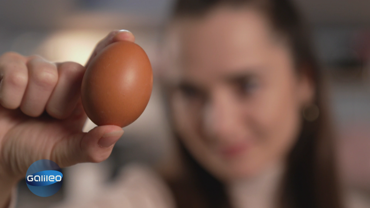 Snack Fact: Zu viele Eier?