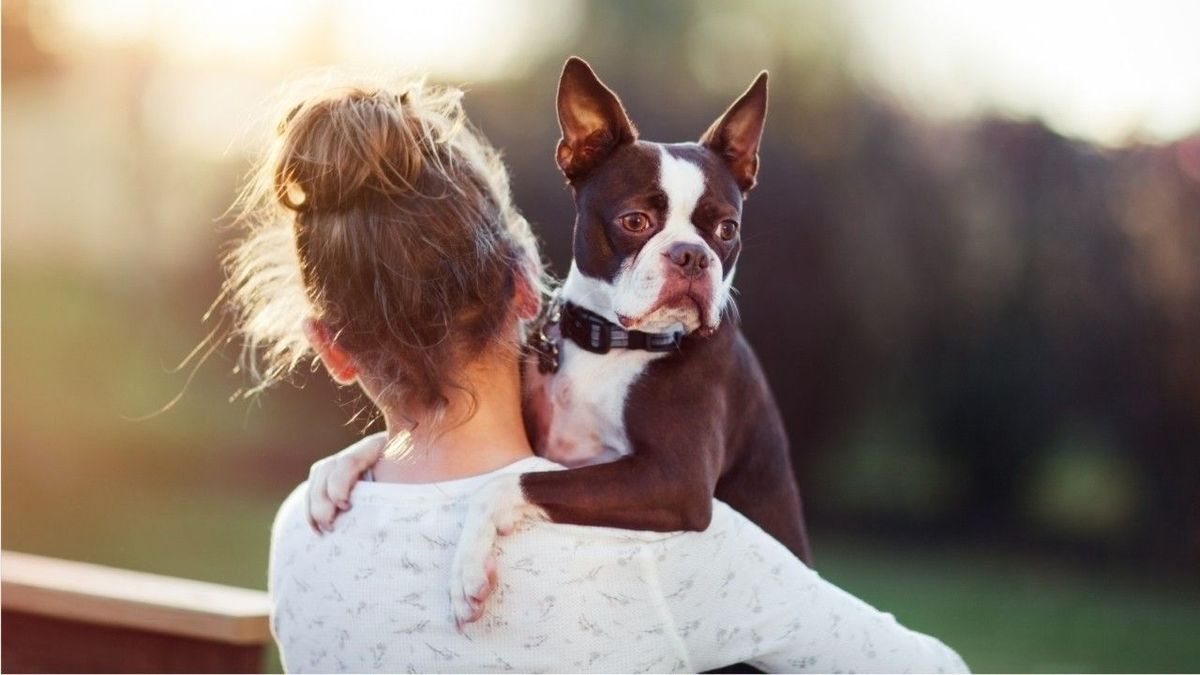 Diese Fragen sollten Sie sich stellen, bevor Sie einen Hund anschaffen