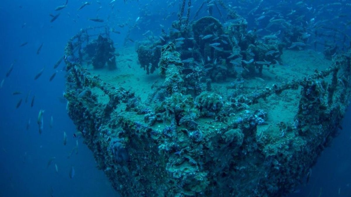 Nach jahrzehntelanger Suche: Schiff aus 18. Jahrhundert in Tiefen des Meeres gefunden