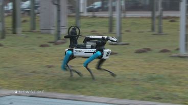 Digitaler Roboterhund soll Menschen entlasten
