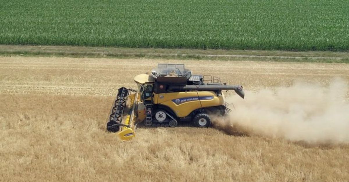 Angespannte Lage: Landwirte in Bayern reagieren auf Kosten und Krieg