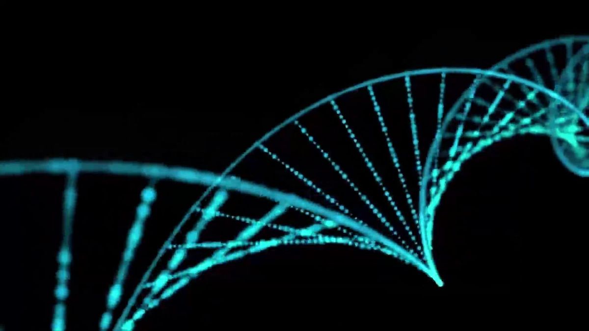 Forscher sind sich sicher: Wir befinden uns gerade auf dem Weg zur nächsten Evolutionsstufe