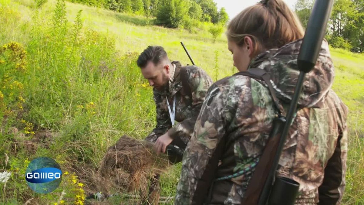 Der Anti-Jagdblog - News über Jagd & Wildtiere