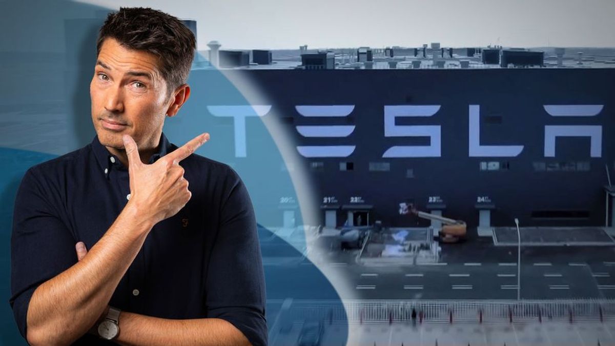 Tesla: Rise and Fall