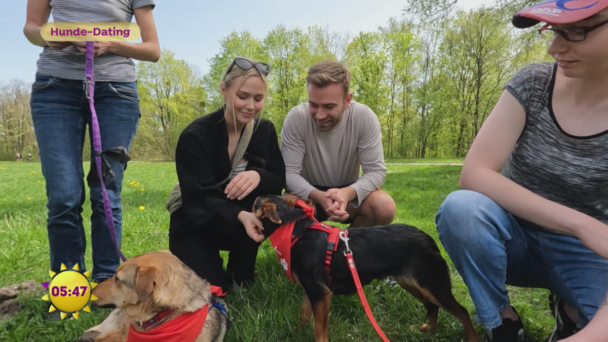 Liebe auf den ersten Hunde-Blick: Speed-Dating für Zwei- und Vierbeiner