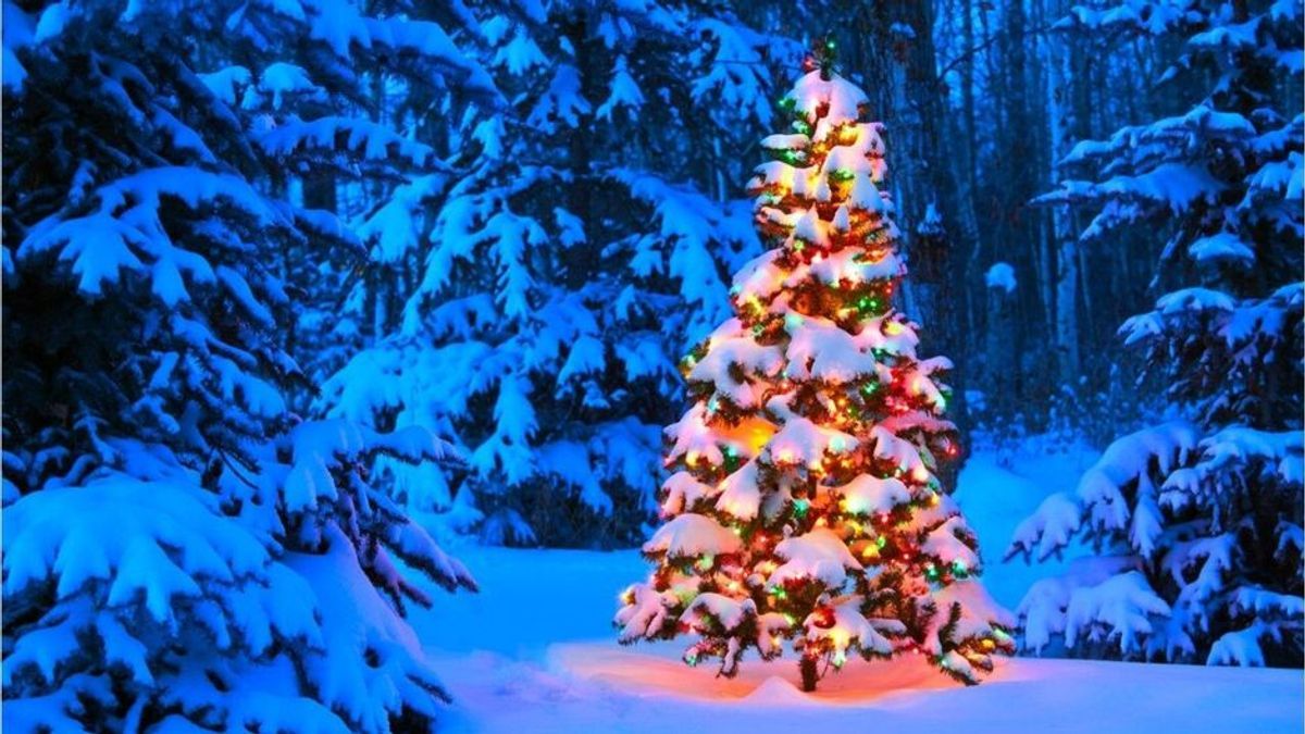 Wetter-Trend für Dezember: Wie stehen die Chancen für Weiße Weihnachten?