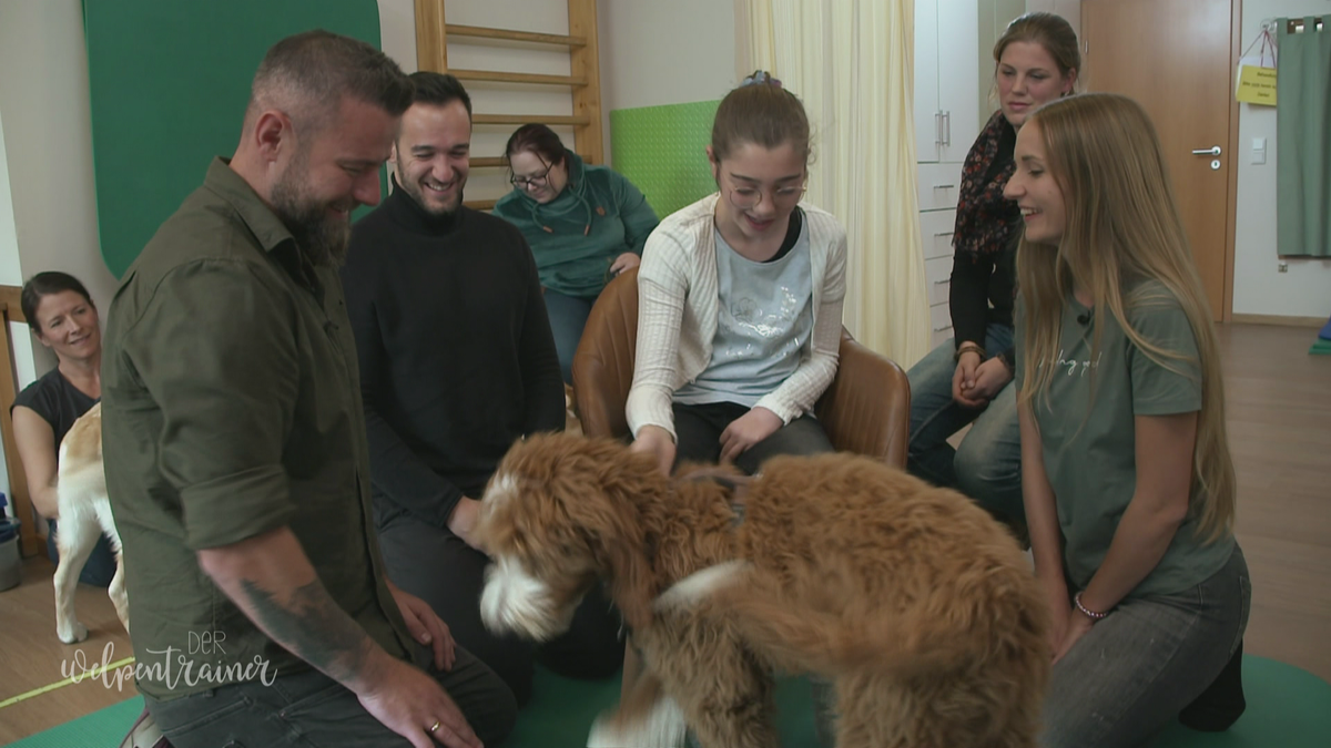 Leichte Sprache: Die Welpenklasse zu Besuch bei Therapiebegleithunden