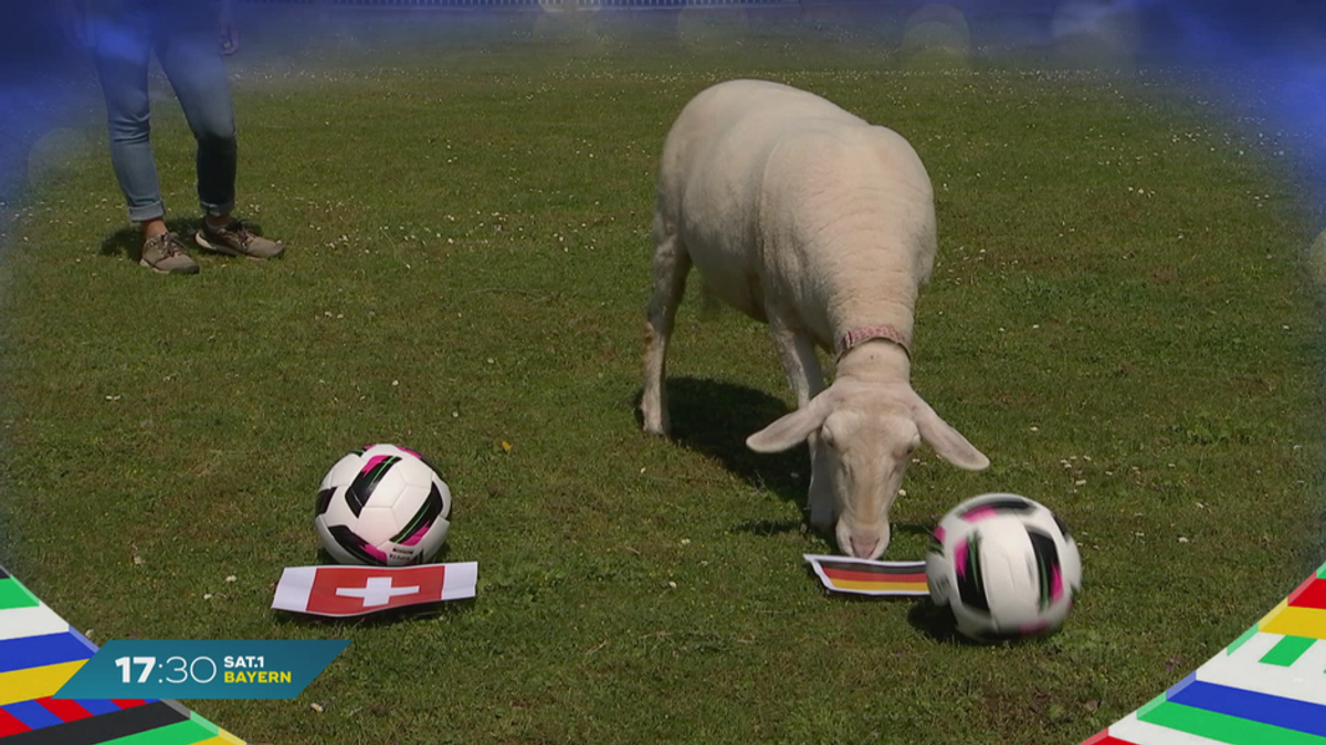 Deutschland gegen Schweiz: SAT.1 Bayern Orakel Gretl