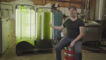 Der Algenreaktor: Ein Bierbrauer rettet nebenbei das Klima