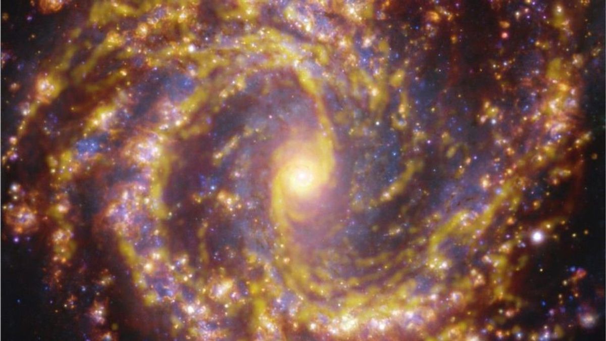 Funkelnde Sterngeburten: Beeindruckende Aufnahmen unserer Nachbargalaxien