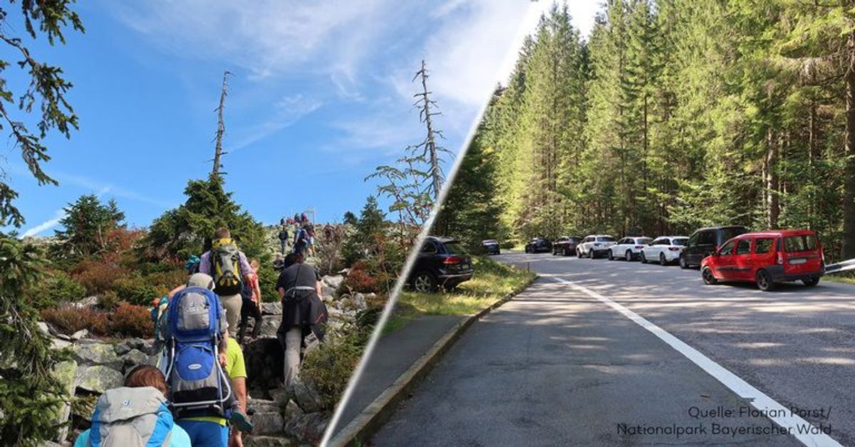 Plötzlich Massentourismus wegen Corona - Nationalpark zieht Konsequenzen