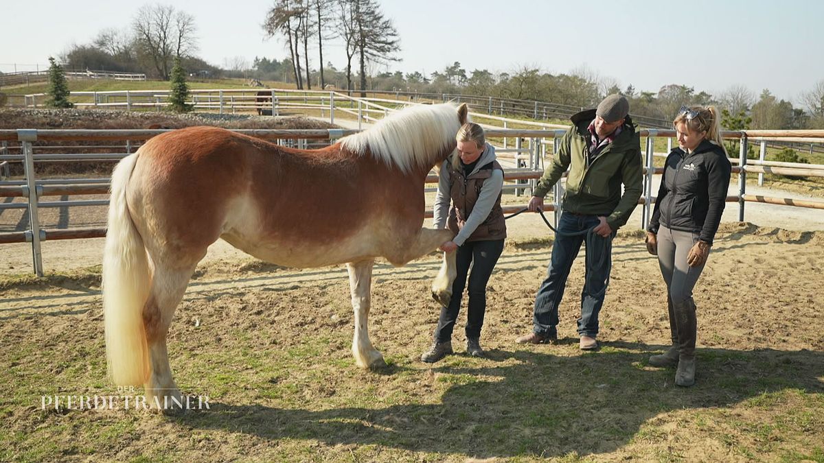 Besuch von der Physiotherapeutin und Reiten ohne Sattel