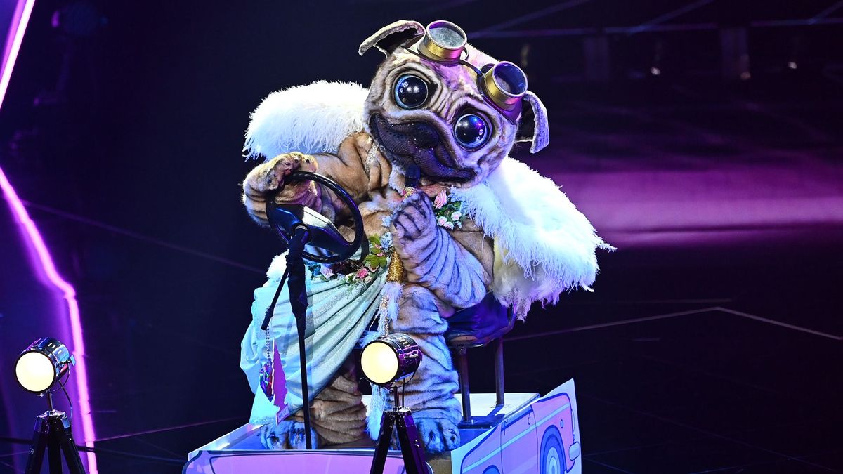 The Masked Singer