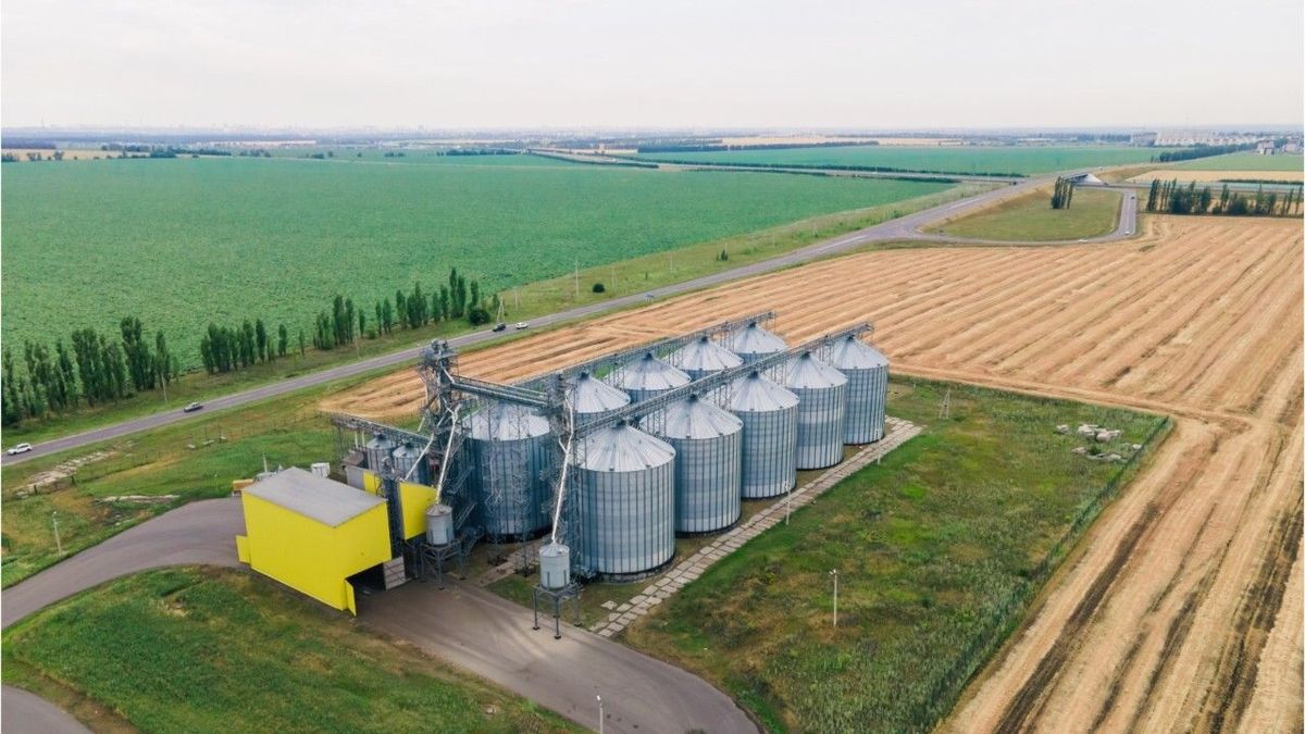 Trotz steigender Getreidepreise: Landwirte machen kaum Gewinn